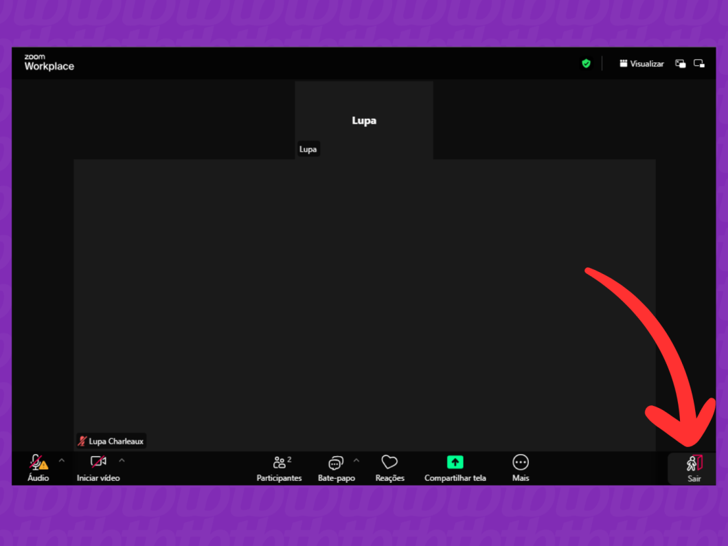 Evite Gafe: Como Ligar o Áudio e o Vídeo Corretamente no Zoom