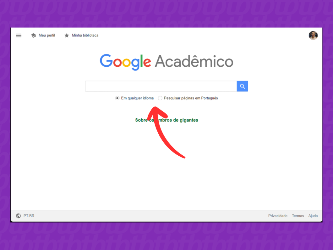 Busca Simples no Google Acadêmico: Encontre o Que Procura Rapidamente na prática