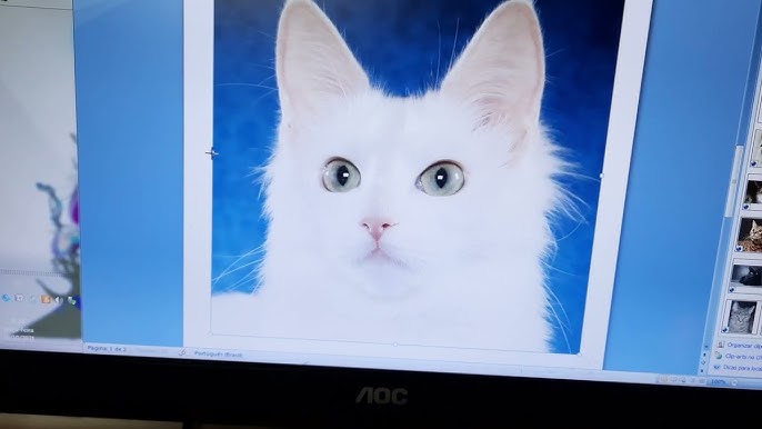 Navegando na Internet: Escolhendo Seu Navegador e Acessando Seus Sites Favoritos na prática