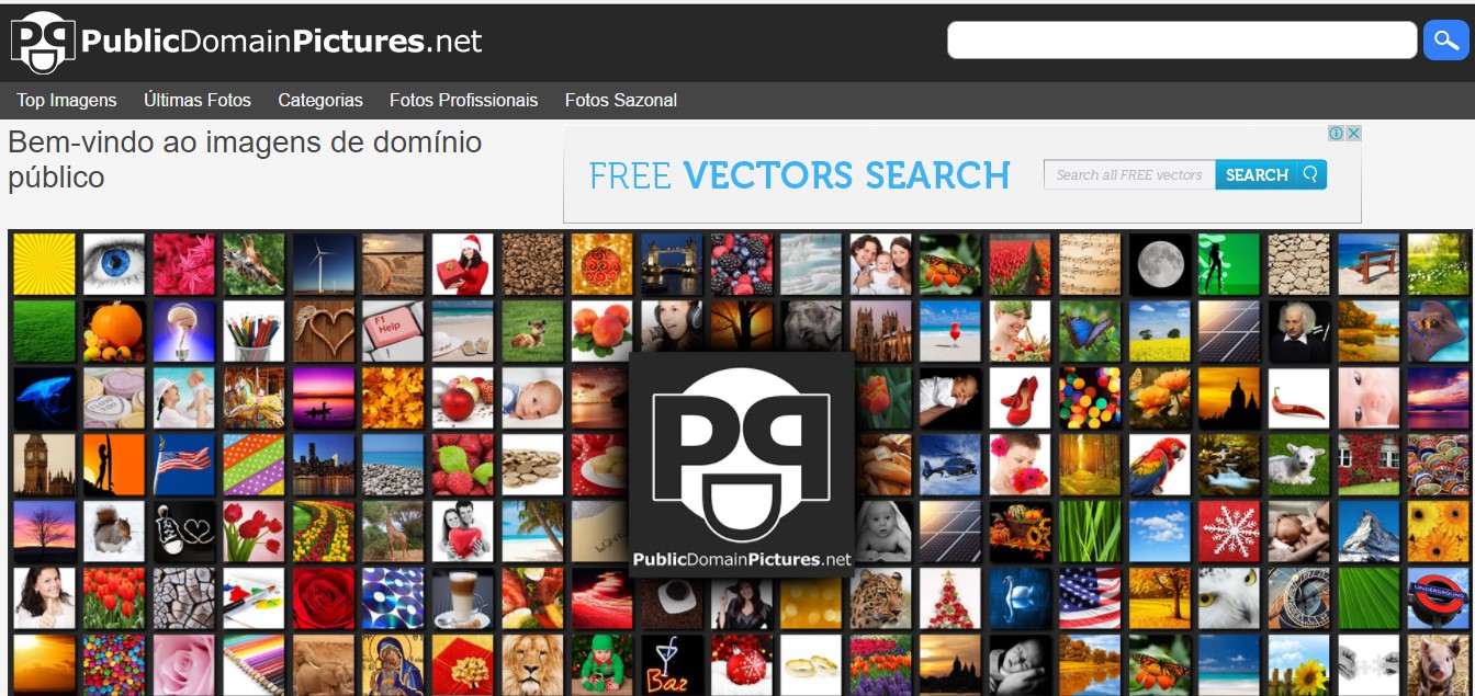 Como escolher o melhor banco de imagens para seu projeto