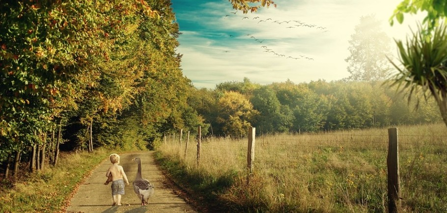 bancos de imagens gratuitas de alta qualidade