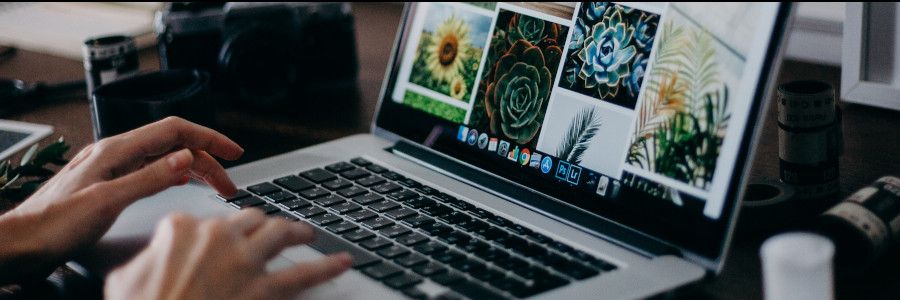 Como escolher o melhor banco de imagens para seu projeto