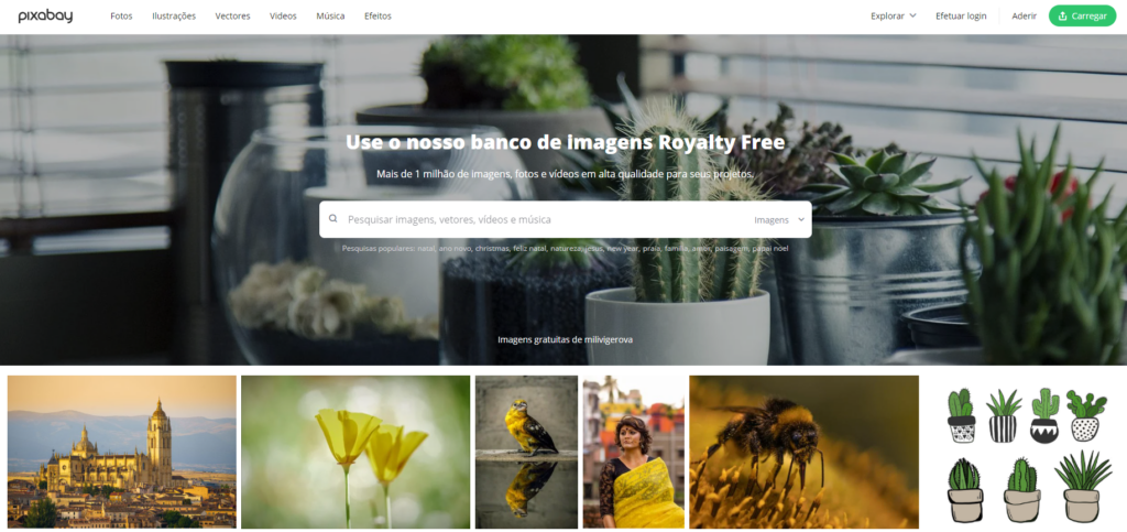 Dicas para otimizar suas buscas em bancos de fotos