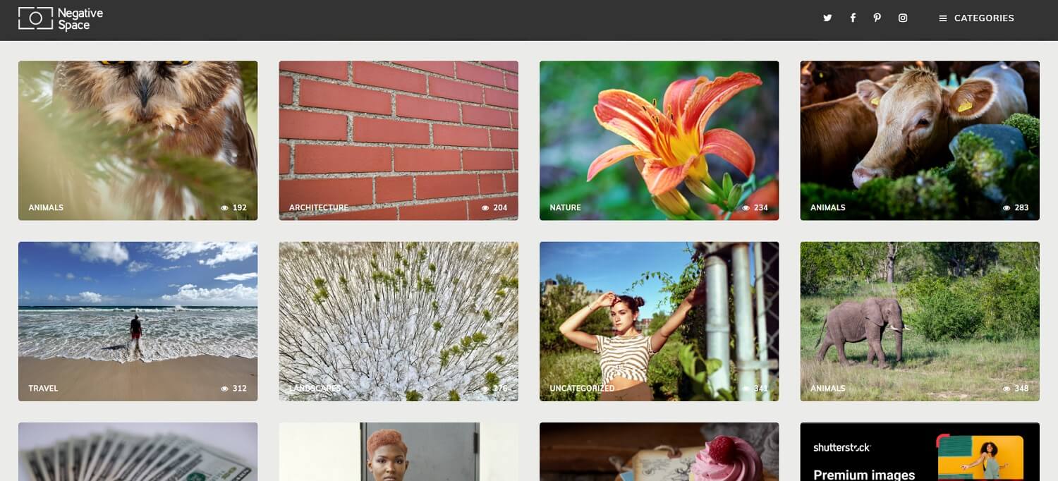 Dicas para otimizar suas buscas em bancos de fotos