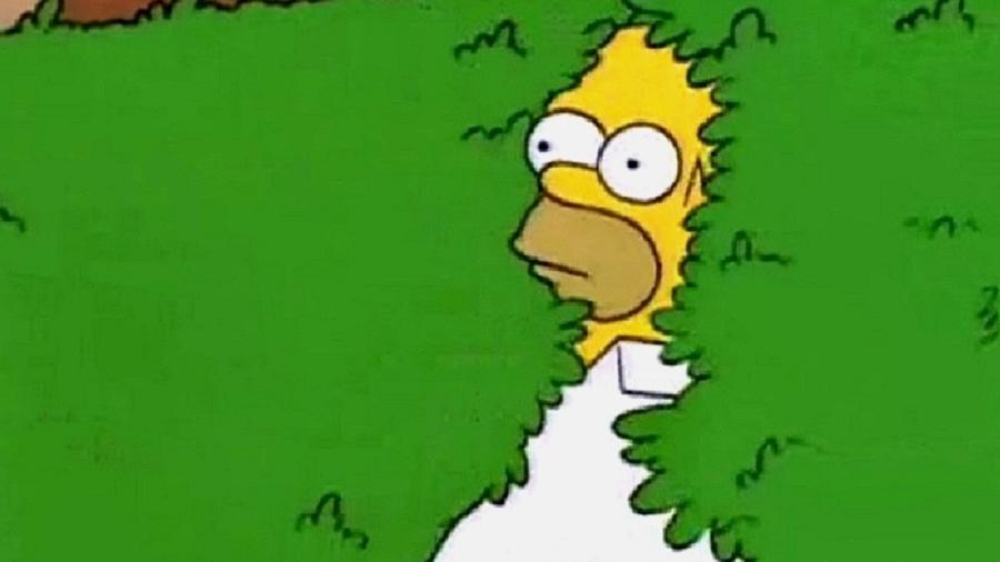 Dicas Avançadas para Otimizar Seus GIFs para Redes Sociais