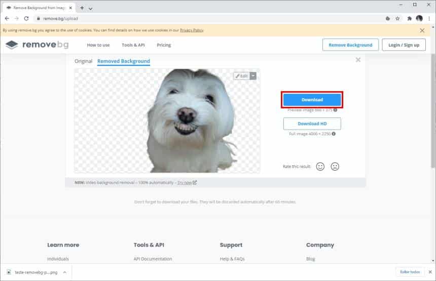 Como remover o fundo de imagens para figurinhas perfeitas no WhatsApp