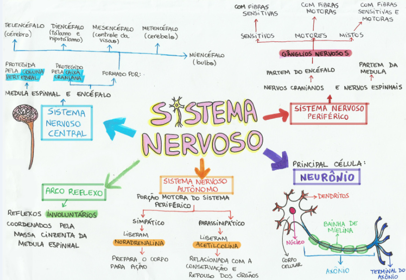 Comparativo: Melhores Apps de Mapa Mental Gratuitos para Estudos