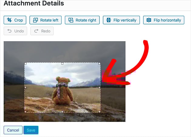 Plugins Essenciais para Gerenciar Imagens SVG no WordPress