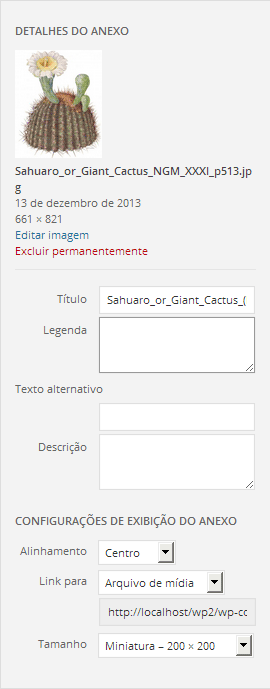 Plugins Essenciais para Gerenciar Imagens SVG no WordPress