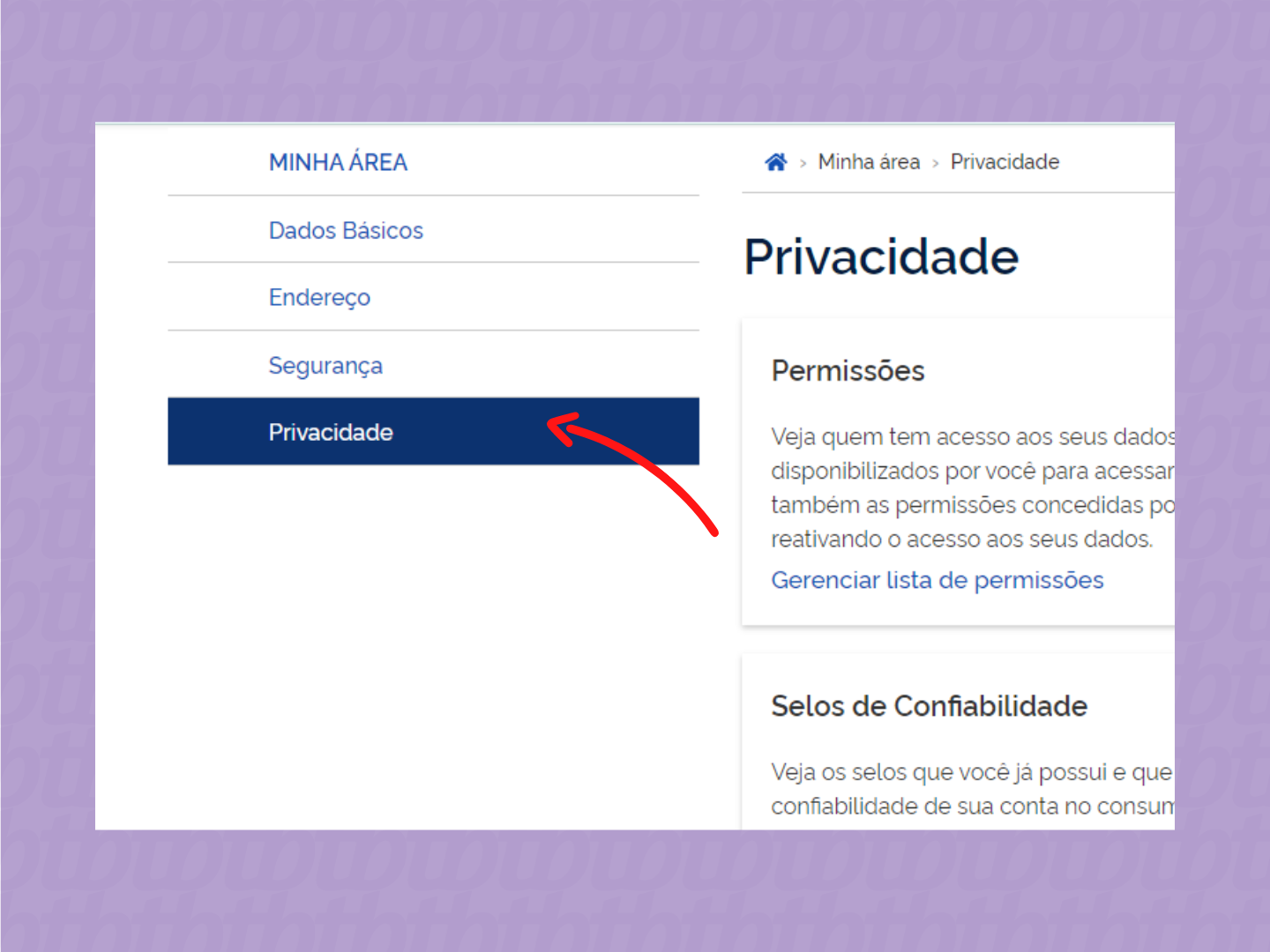 Diferenças entre níveis de conta gov.br