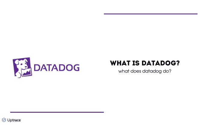 datadog o que é