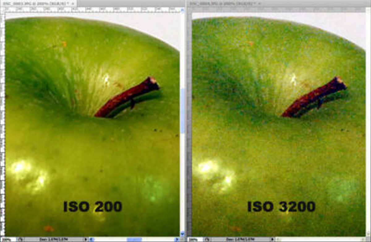 ISO na Fotografia: Entenda a Sensibilidade do Sensor da Sua Câmera