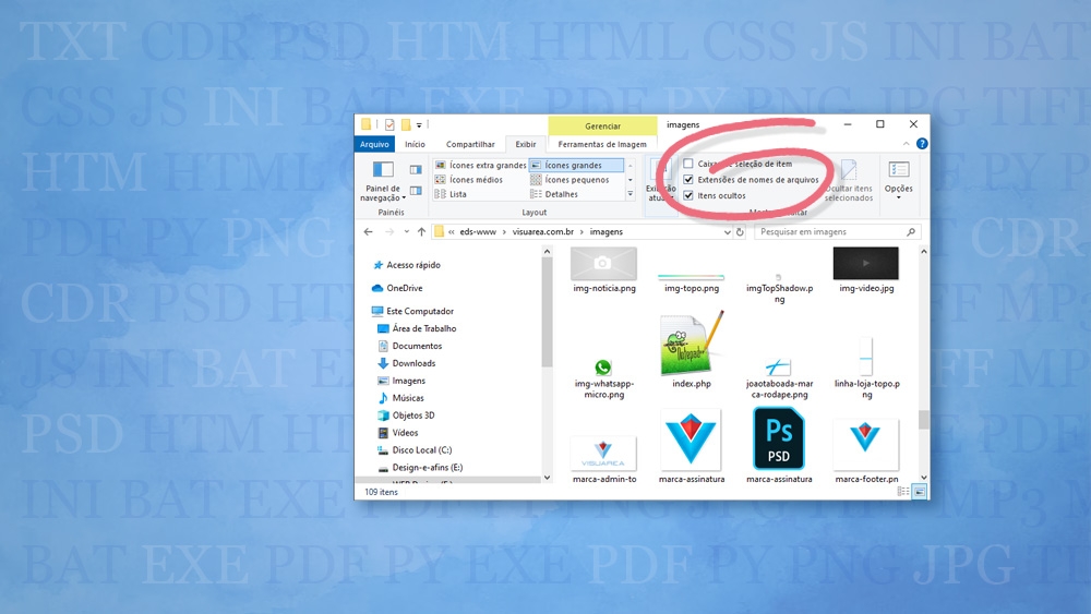Diferença entre .doc e .docx: Qual usar?