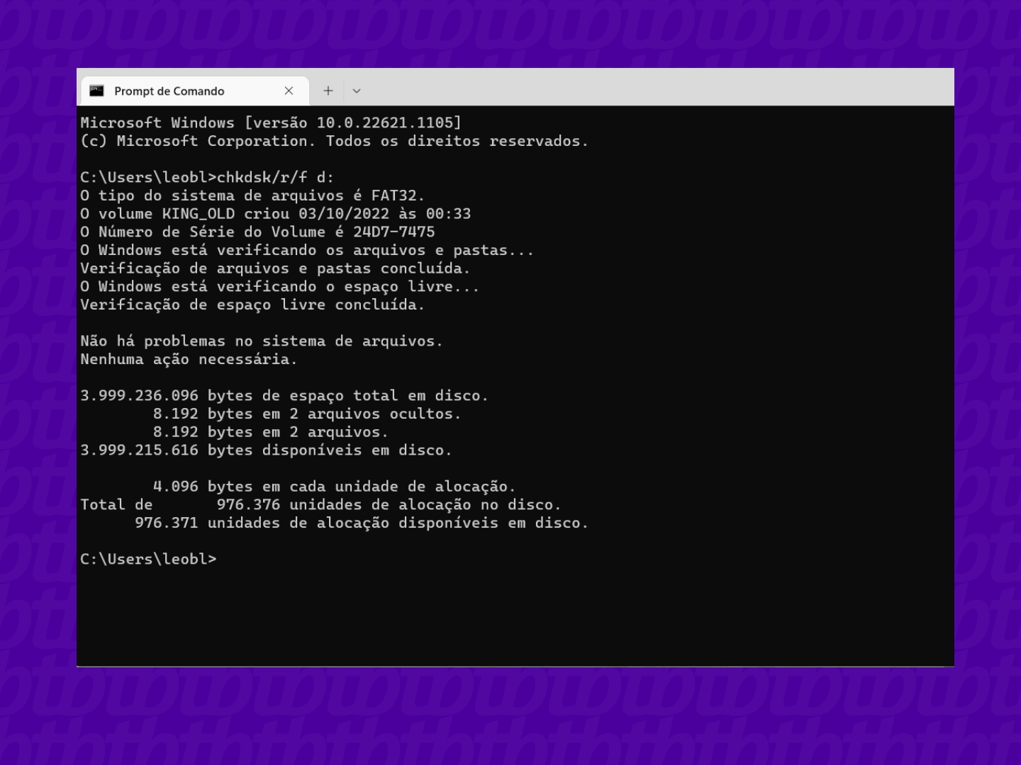 Guia Completo: Como Usar o CHKDSK para Reparar Pendrives e HDs Externos