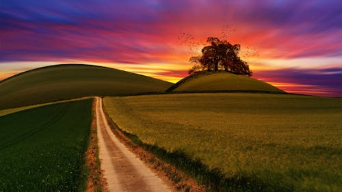 Como Escolher o Melhor Wallpaper 4K para Seu Monitor