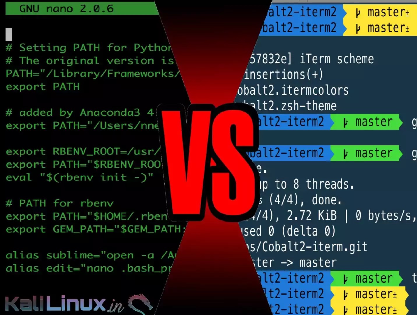 zsh vs bash