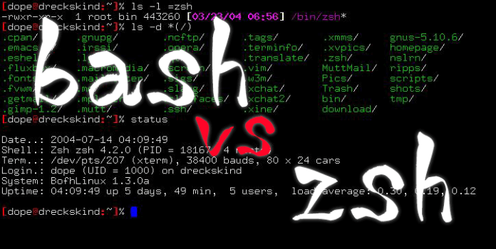 bash ou zsh
